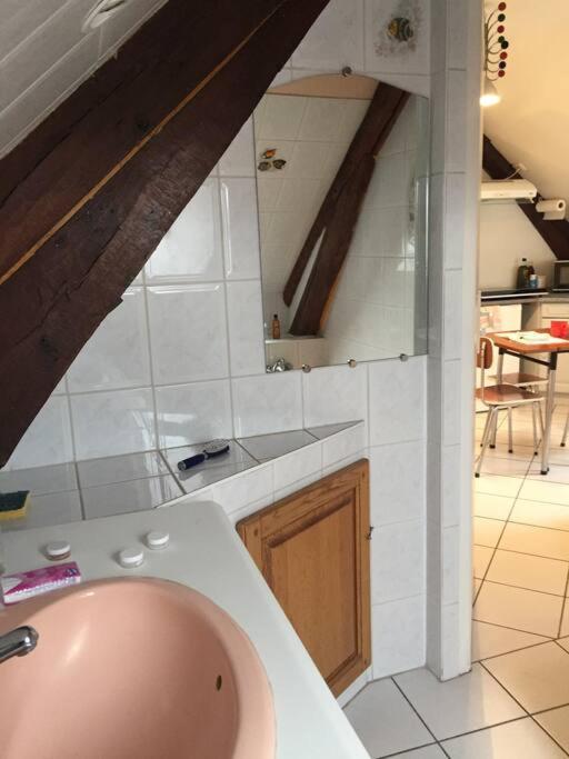 Logement Cosy Et Lumineux Auxerre Kültér fotó